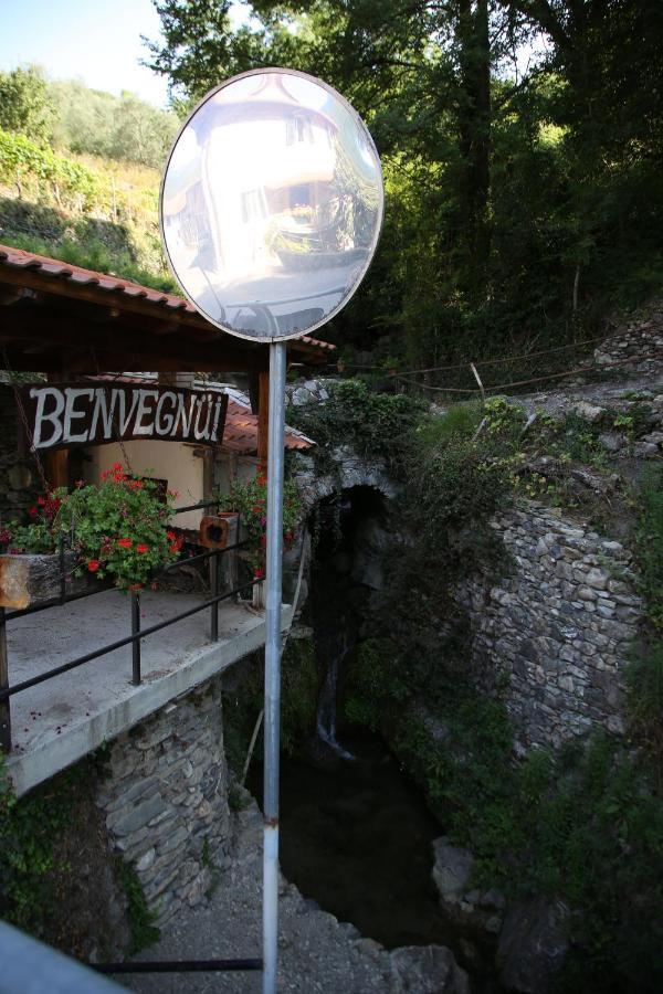 A Ca Du Barbijun Villa Pieve di Teco Exterior photo